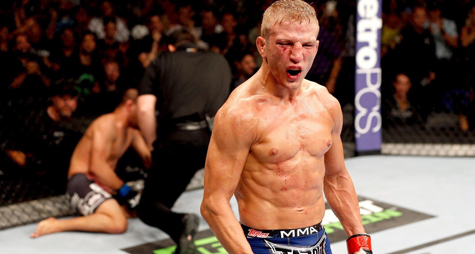 Dillashaw ‘Would Love’ To Challenge Holloway For Featherweight Title
