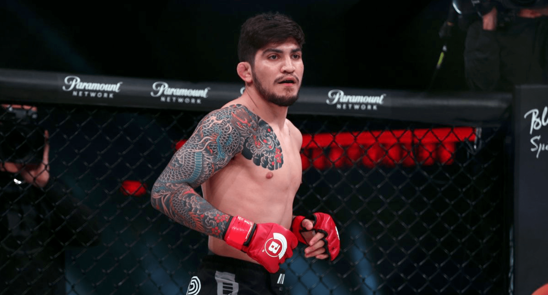 Dillon Danis Reportedly Punched At A Nightclub