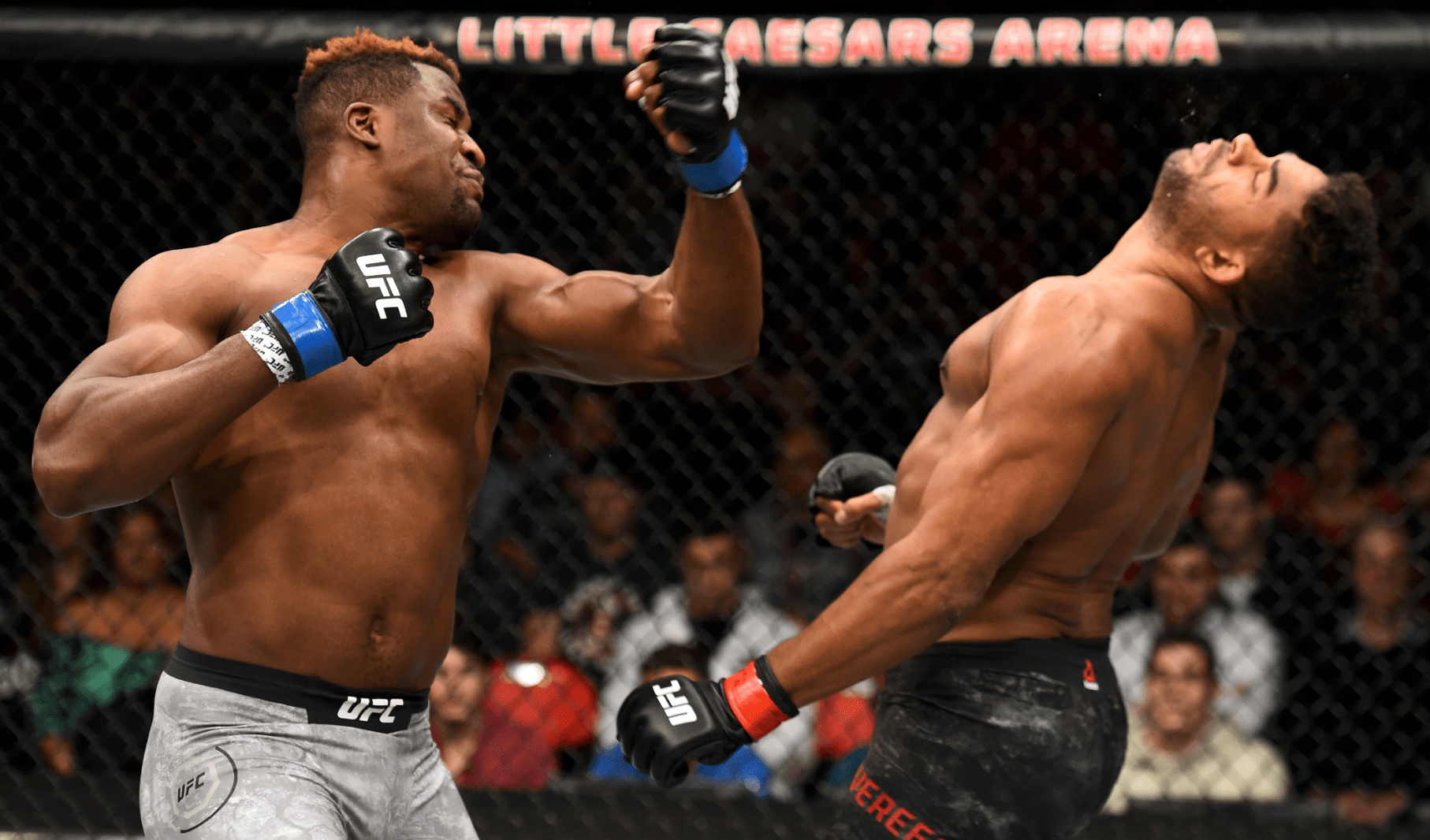 More Huge Fights Heading To UFC 239