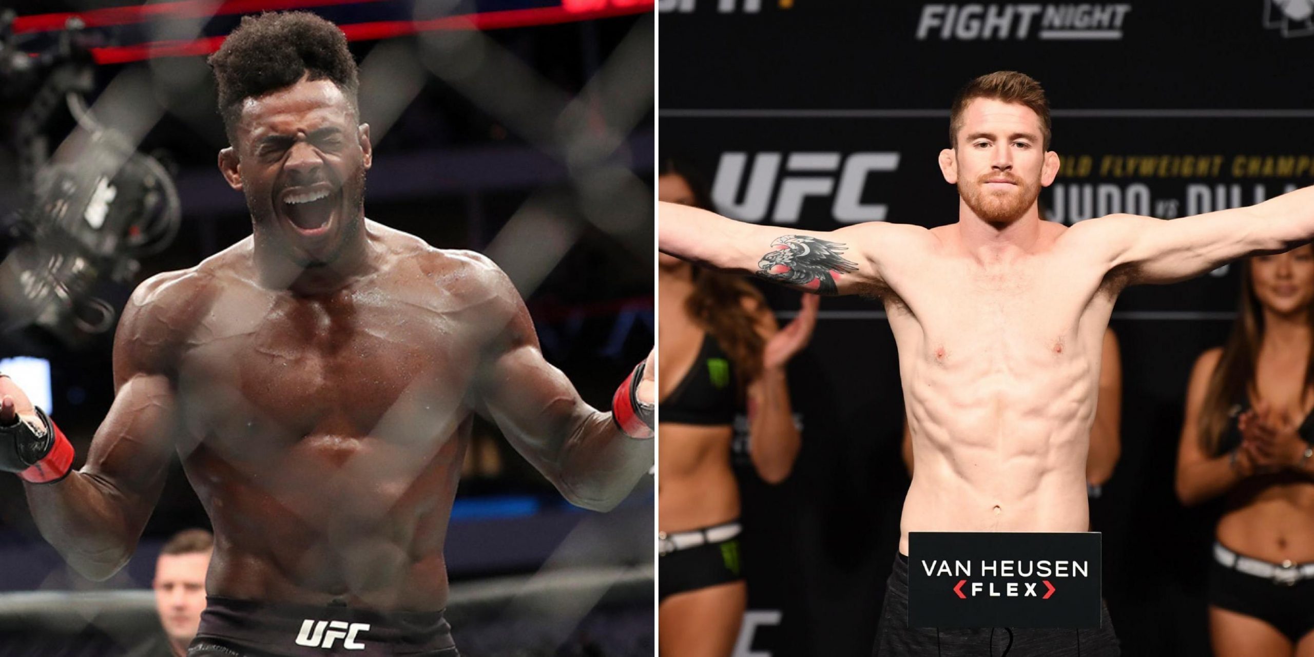 UFC Fight News: Including Sterling, O’Malley, Magny, PVZ And Ladd